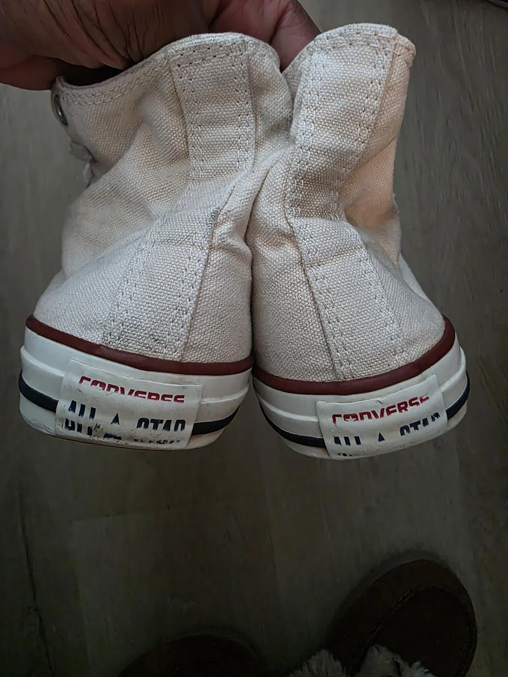 Converse Chuck Taylor All Star High Tops Light Pink
